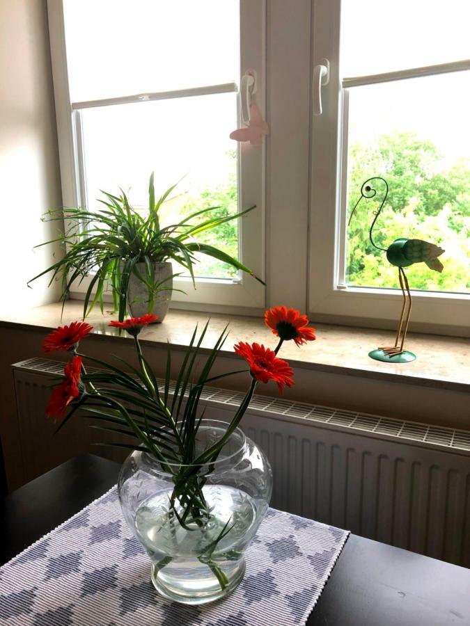 Ferienwohnung An Der Elbfaehre Dresden Luaran gambar