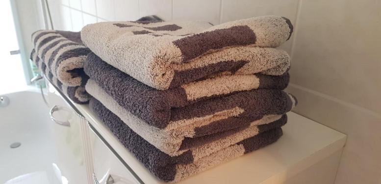 Ferienwohnung An Der Elbfaehre Dresden Luaran gambar